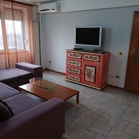 Apartament Libelula Arad Zewnętrze zdjęcie