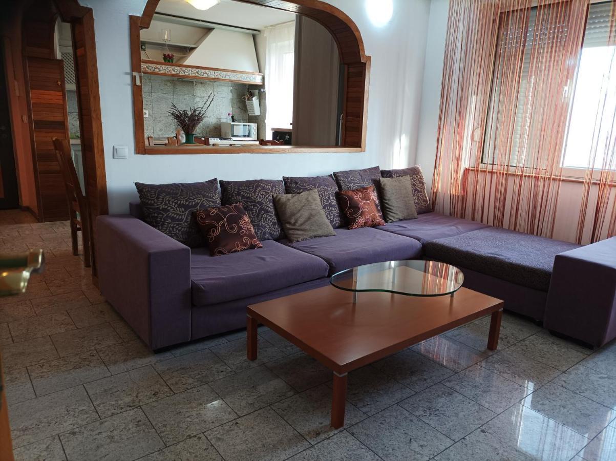 Apartament Libelula Arad Zewnętrze zdjęcie