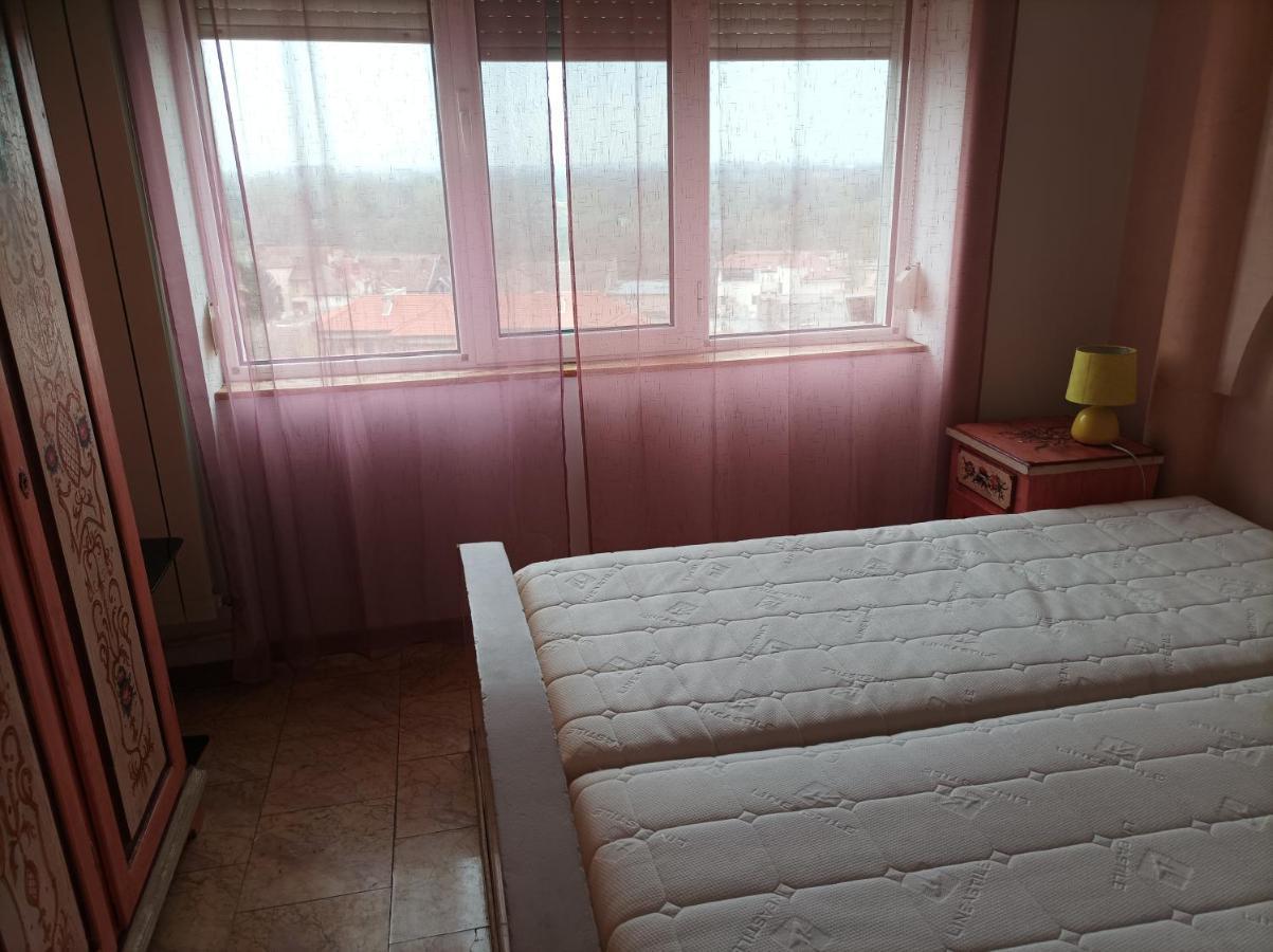 Apartament Libelula Arad Zewnętrze zdjęcie